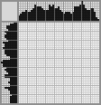 Japanese crossword &laquo;American Shorthair&raquo;