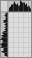 Japanese crossword «Pineapple» Japanese crossword «Pineapple»