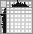 Japanese crossword &laquo;English Springer Spaniel&raquo;