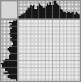 Japanese crossword «Motorist» Japanese crossword «Motorist»