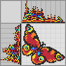 Japanese crossword &laquo;Butterfly&raquo;