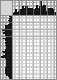 Japanese crossword «Squirrel» Japanese crossword «Squirrel»