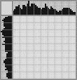 Japanese crossword &laquo;Squirrel&raquo;