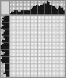 Japanese crossword «Squirrel» Japanese crossword «Squirrel»