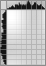 Japanese crossword &laquo;Squirrel&raquo;