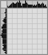 Japanese crossword «Squirrel» Japanese crossword «Squirrel»