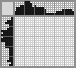 Japanese crossword «Squirrel» Japanese crossword «Squirrel»