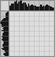 Japanese crossword «Squirrel» Japanese crossword «Squirrel»