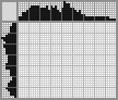 Japanese crossword &laquo;Chipmunk&raquo;