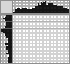 Japanese crossword «Chipmunk» Japanese crossword «Chipmunk»