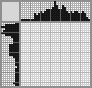 Japanese crossword «Gull» Japanese crossword «Gull»
