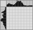 Japanese crossword &laquo;Teapot&raquo;
