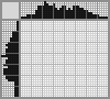 Japanese crossword «Turtle» Japanese crossword «Turtle»
