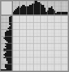 Japanese crossword «Plague doctor» Japanese crossword «Plague doctor»