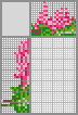 Japanese crossword &laquo;Cyclamen&raquo;