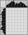 Japanese crossword «Flowers» Japanese crossword «Flowers»