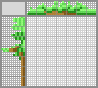 Japanese crossword &laquo;Tree&raquo;