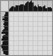 Japanese crossword «The Girl Playing the Lute» Japanese crossword «The Girl Playing the Lute»
