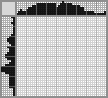 Japanese crossword «Airship» Japanese crossword «Airship»