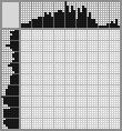 Japanese crossword «Duelist» Japanese crossword «Duelist»