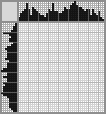 Japanese crossword «Raccoon» Japanese crossword «Raccoon»