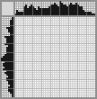 Japanese crossword «Raccoon» Japanese crossword «Raccoon»
