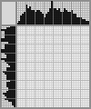 Japanese crossword «Raccoon» Japanese crossword «Raccoon»