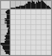 Japanese crossword «Raccoon» Japanese crossword «Raccoon»