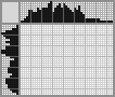 Japanese crossword &laquo;Little Coon&raquo;