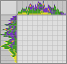 Japanese crossword &laquo;Violets&raquo;