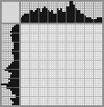 Japanese crossword &laquo;Flamingo&raquo;