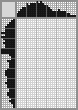 Japanese crossword «Photo for memory» Japanese crossword «Photo for memory»