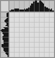 Japanese crossword «Camera» Japanese crossword «Camera»