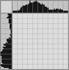 Japanese crossword «Camera» Japanese crossword «Camera»