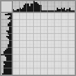 Japanese crossword «Duke» Japanese crossword «Duke»