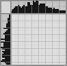Japanese crossword &laquo;Guitarist&raquo;