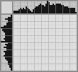 Japanese crossword «Chameleon» Japanese crossword «Chameleon»