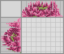 Japanese crossword «Chrysanthemum» Japanese crossword «Chrysanthemum»