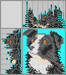 Japanese crossword &laquo;Collie&raquo;