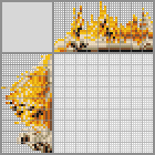 Japanese crossword «Corgi» Japanese crossword «Corgi»