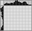 Japanese crossword «Green Anole» Japanese crossword «Green Anole»