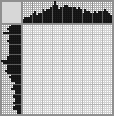 Japanese crossword «Leopard» Japanese crossword «Leopard»