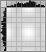 Japanese crossword «Leopard» Japanese crossword «Leopard»