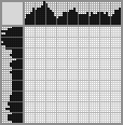 Japanese crossword «Lion» Japanese crossword «Lion»