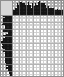 Japanese crossword &laquo;Archer&raquo;