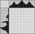 Japanese crossword «Recorder» Japanese crossword «Recorder»