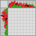 Japanese crossword «Poppies» Japanese crossword «Poppies»