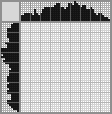 Japanese crossword &laquo;White Mouse&raquo;