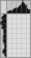 Japanese crossword «Seahorse» Japanese crossword «Seahorse»