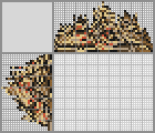 Japanese crossword &laquo;Common Spadefoot Toad&raquo;